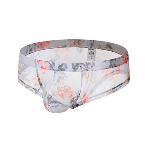 Sexy See Through Underwear for Men Sissy Pouch Thong Underwear Briefs Lace See Through(White,XL)