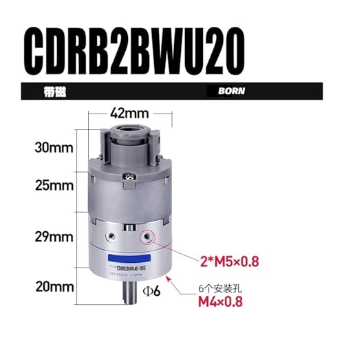 Vérin pivotant double palettes CDRB2BWU30-270S rotation stable - 3