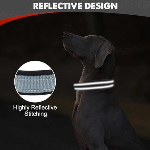 Joytale Halsband Hund, Weich Hundehalsband Gepolstert Neopren Hunde Halsband für Kleine Hunde, Nylon Reflektierend Breit Halsbänder, Grau