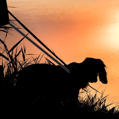 Hundeleine Große Hunde Anti-Zieh Geschirr für Mittlere Hundeleine Doppelleine für 2 Hunde Reflektierend Hundeleine zum Trainieren und Gassi gehen für große mittlere Hunde