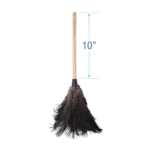 Image of Boardwalk 20BK Professional Ostrich Feather Duster, 10 inch Handle