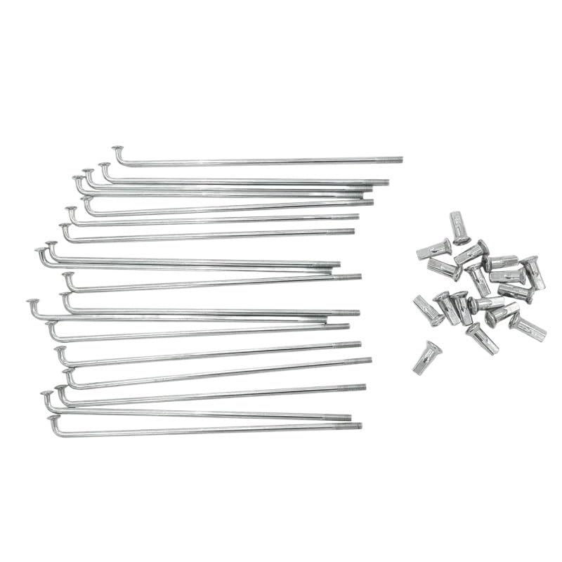 Rayon velo cassé solution avec le modèle de 142mm de longueur et 3,1 mm d'épaisseur