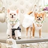 Blumenhalsband für Hunde & Katzen - Hochzeits- & Geburtstagsrequisiten mit künstlichen Blumen