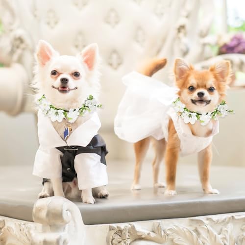 Blumenhalsband für Hunde & Katzen - Hochzeits- & Geburtstagsrequisiten mit künstlichen Blumen