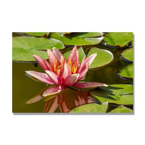 Impression sur toile floral de 50x75cm avec de belles photos de fleurs pour decoration murale