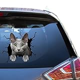 ロシアンブルーキャット カーデカール 猫ステッカー カーウィンドウデカール 手を振る猫警告トラクターおもちゃ 女性用 バックバンパー オートステッカー