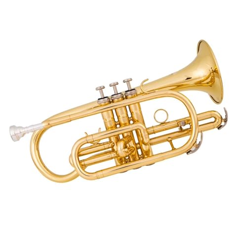 コルネット 初心者」の人気商品一覧 | 安い商品を通販サイトから探す