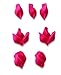 Wilton Decorating Tip Set 3/Pkg-#104 Petal/#352 Leaf/#224 Flower