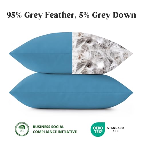 puredown® Outdoor Waterproof Throw Pillows, 22 x 22 Inch Feathers and Down Filled Decorative Square Pillows for Garden Patio Bench, Pack of 2, Blue
