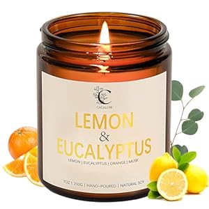 Lemon Eucalyptus Scented Candles for Home, Soy Wax Aromatherapy Candle for Bedroom Bath Birthday New Job House Warming Gifts for Women