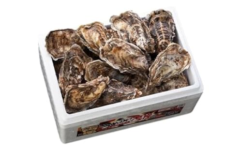 北海道 厚岸産 生食用 殻付カキ Mサイズ 10個 マルえもん 牡蠣 魚貝類 生牡蠣 かき
