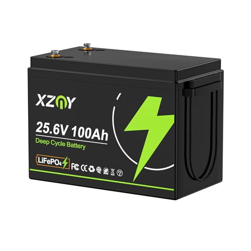 XZNY Compact 24V 100Ah Lithium Battery, 5000+ Cycles 24V 100Ah LiFePO4 Battery, Built-in 100A Low Temperature Protection BMS, Great for RV/Camper, Trolling Motors, Solar Off-Grid, Marine/Boat