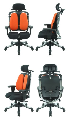 HARA CHAIR:ハラチェアー　ニーチェA Amazon.co.jp: Hara Chair ハラチェア ニーチェ 《標準モデル