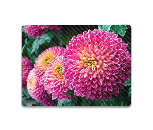 Image of MightySkins Carbon Fiber Skin Compatible with Microsoft Surface Laptop Go 3 (2023) Full Wrap Kit - Chrysanthemum | Protective, Durable Textured Carbon Fiber Finish | Made in The USA