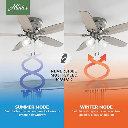 Image of Hunter Builder, Indoor, Ceiling Fan, Pull Chain, 52 inch, Brushed Nickel