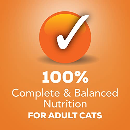 Purina Friskies Pate Wet Cat Food, Poultry Platter - (24) 5.5 Oz. Cans #TOP3