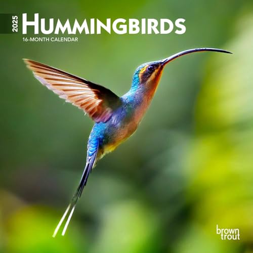 Hummingbirds | 2025 7 x 14 Inch Monthly Mini Wall Calendar | Plastic-Free | BrownTrout | Animals Wildlife Nature