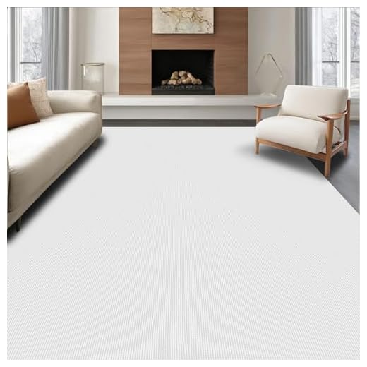 ODIKA Flatwoven High Traffic Area Rug 2x3