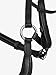 LeMieux Arika Drop Bridle - Black/Silver - Full