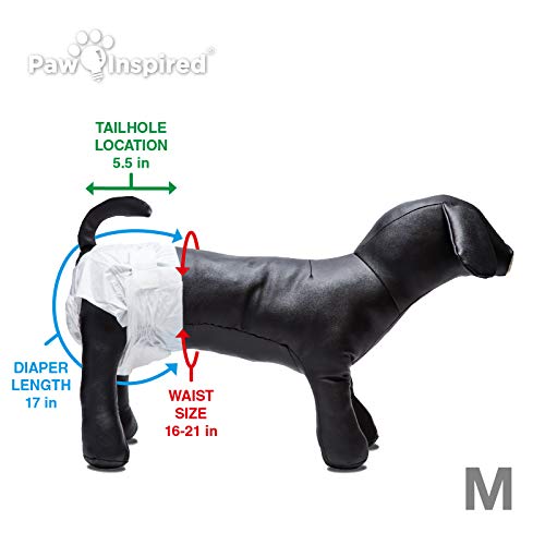 Image of Paw Inspired Disposable Dog Diapers | Female Dog Diapers Ultra Protection | Diapers for Dogs in Heat, Excitable Urination, or Incontinence (144 Count, Medium)