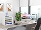 EasyPAG 4 Fächer Holz A4 Büro Schreibtisch Organizer Dokumentenhalter Aktenablage Zeitschriftenhalter Briefablage Papier Magazin Organisator,Weiß