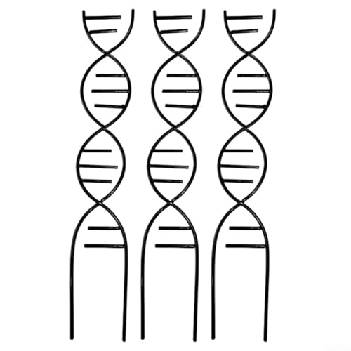 Besttoolifes DNA Cadre d'escalade en métal pour plantes grimpantes d'intérieur et d'extérieur pour plantes grimpantes en pot, lierre pothos, design décoratif en spirale (noir)