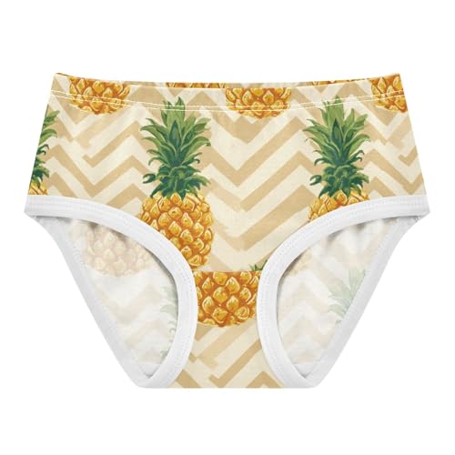 Wusikd Pineapple Geometric (2) Girls' Underwear Cotton Girls Briefs Soft Toddler Underwear 2T
