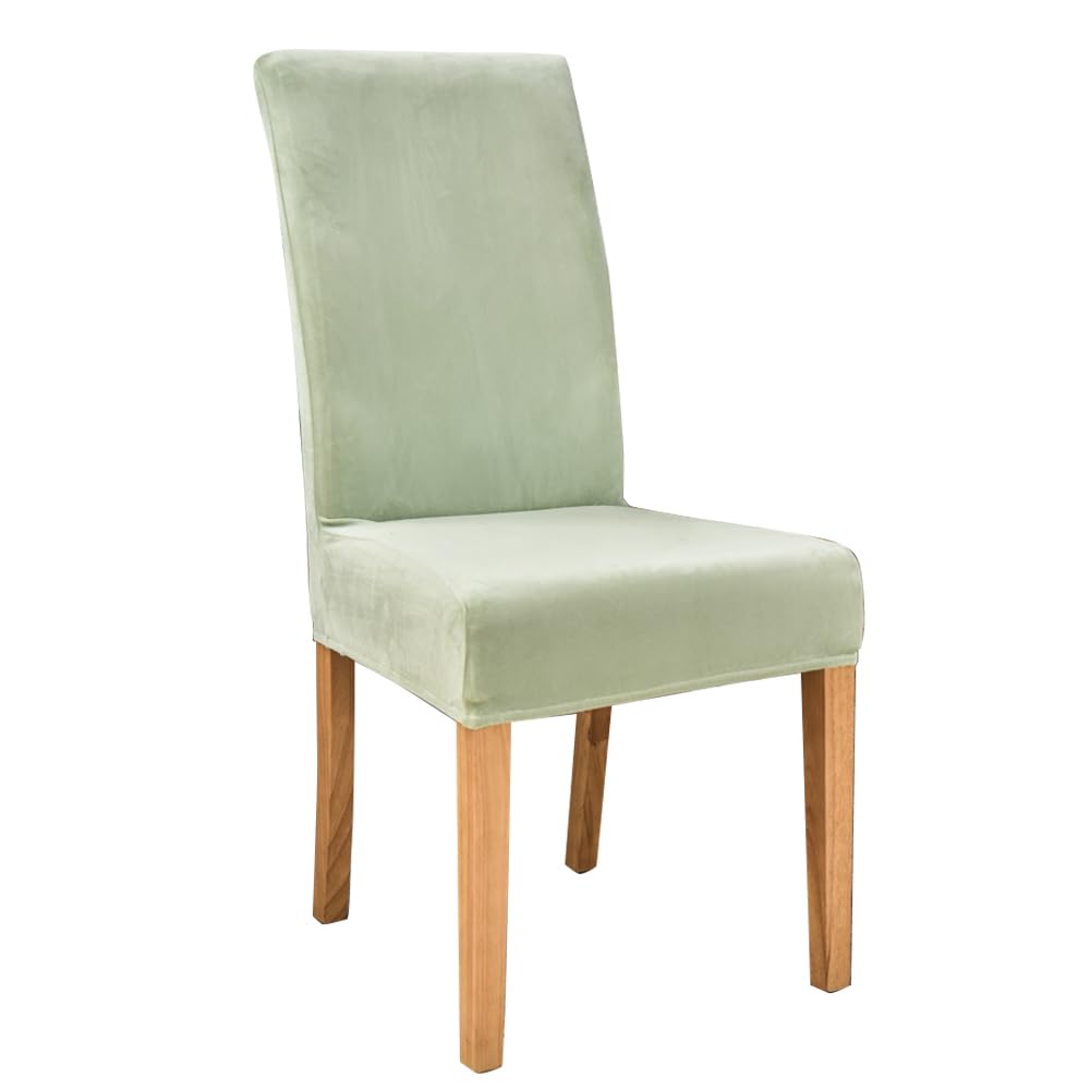 Stuhlhussen Stuhlbezüge Samt Schonbezüge Esszimmerstuhl Stretch Stuhlbezug für Esszimmer stuhlüberzüge Hellgrün 4 Stück