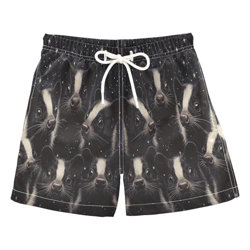 Jucciaco Boys Beach Board Shorts Skunk Pet Galaxy Black Quick Dry Swim Trunk Swimwear for Kids