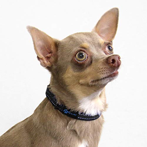 Image of Max and Neo NEO Nylon Buckle Reflective Dog Collar - We Donate a Collar to a Dog Rescue for Every Collar Sold (X-Small, Black)