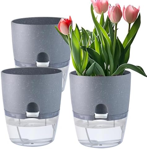 Amazon.com: Oliz 6 Inch Self Watering Pots for Indoor Plants, 6 Pack ...