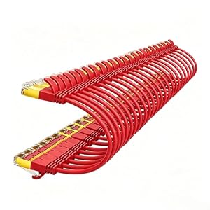 Werkybay – Werkybay 25cm Ultradünn/Slim OD:3.8mm CAT7 Ethernetkabel (Ro