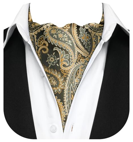 Image of MIPPO Men's Ascot Paisley Floral Jacquard Woven Gift Cravat Tie