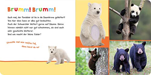 Hör mal rein, wer kann das sein? – Kuschelige Tiere: Streicheln und hören | Hochwertiges Pappbilderbuch mit 5 Sounds und Fühlelementen für Kinder ab 6 Monaten