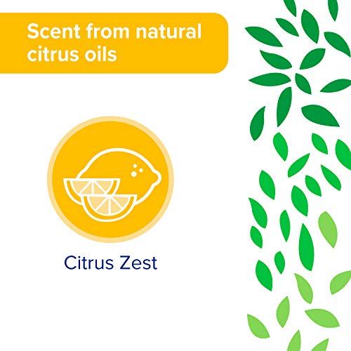 All Purpose Cleaner Wipes Bulk By Sun & Earth, 480 Total Wipes, Pack Of 6, All Natural Citrus Scent, Plant Based Ingredients, Safe On All Household Hard Surfaces, No Phosphates, Parabens Or Sulfates #TOP2