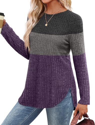 Image of Saloogoe Long Sleeve Shirts for Women 2025 Fall Clothes Tunic Tops Loose Fit Dressy Crewneck Pullover Sweaters Curved Hem