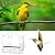 Acrylic Window Bird Feeder Strong Suction Cups with Shield Roof Drain Holes Outdoor Clear Bird House