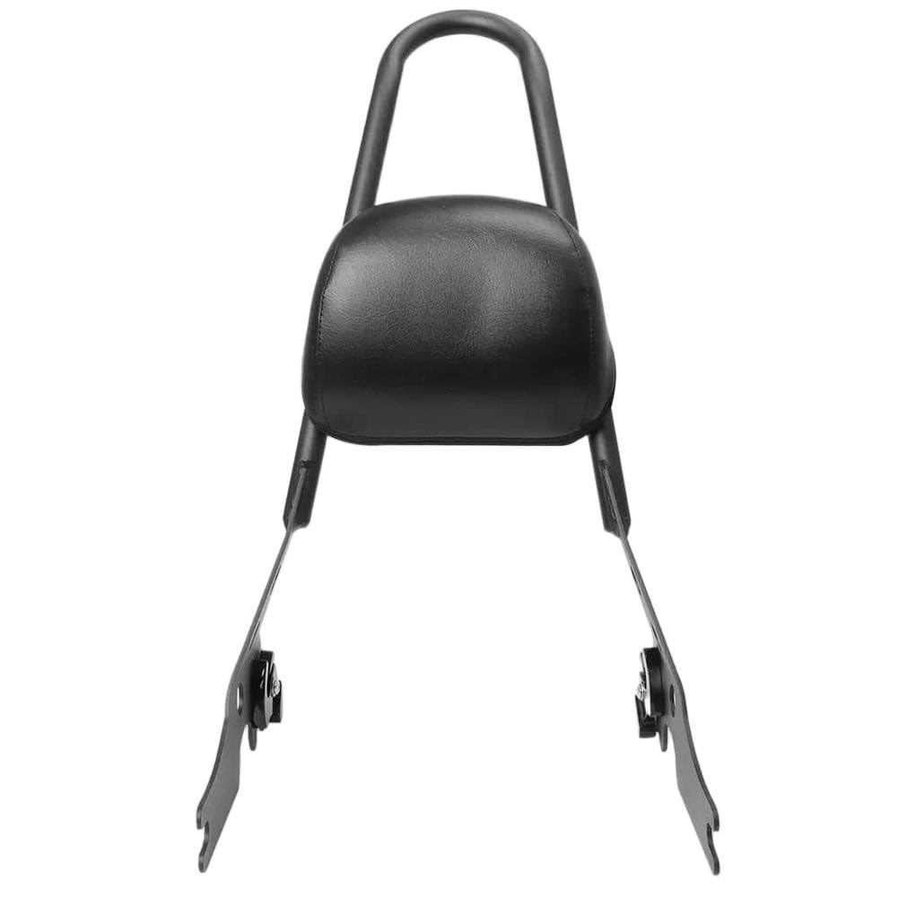 Portabagagli Posteriore con Poggiaschiena Amovibile per Motocicletta Per Sportster Iron 1200 883 XL Forty Eight 2004-2022 Portapacchi Posteriore Moto