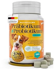 Probiotika Hund mit 670 Milliarden...