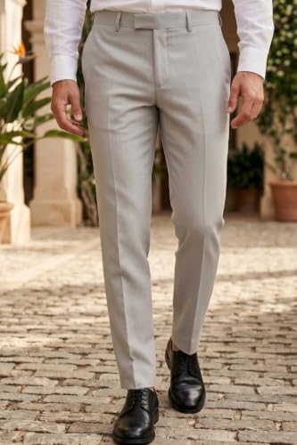 Image of Louis Philippe Men's Regular Fit Fashionable Pleated Trouser Work Ready Solid Formal Trouser