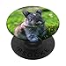 Niedlicher Baby-Kaninchen-Pop-Mount-Sockel. PopSockets mit austauschbarem PopGrip