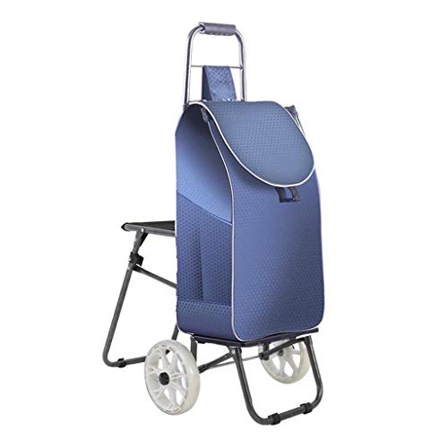 Carrito de la compra plegable reutilizable con bolsa impermeable y asiento, ideal para comestibles y recados