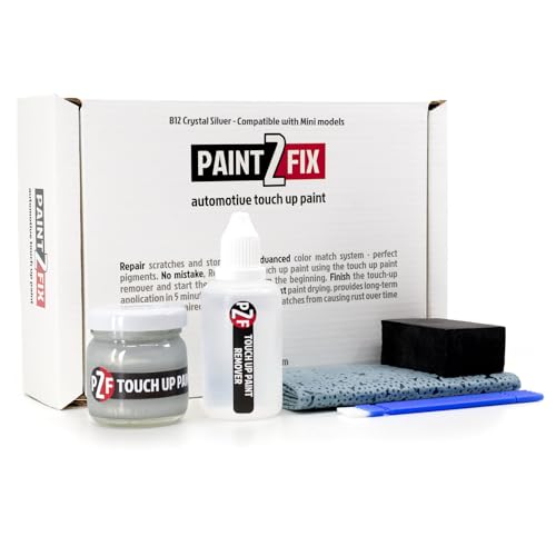 B12 Crystal Silver Touch Up Paint Kit for Mini 2.53 fl oz