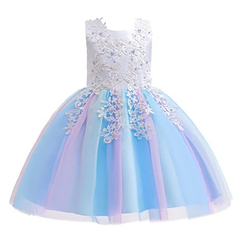 Weileenice Baby Blue Flower Girl Dress 3 4 Toddler Bridesmaid Wedding Formal Pageant Gown Lace Embroidery Little Girls Fancy Birthday Party Rainbow Tulle Dresses Beads Princess Holiday Prom Tutu Gowns