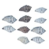 COHEALI 10piezas Conchas De Caracol Natural Natural Material para Manualidades Decoración para Peceras Ejemplar De Caracola para Decoración De Peceras y Adorno para Acuario