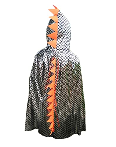 Cape de dinosaure pour garçons - Costume d'Halloween pour enfants - Cape à capuche argentée Cover