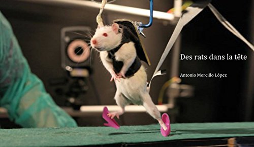 Dans La Tete Des Complotistes Amazon Amazon.com: Des rats dans la tête (French Edition) eBook: Morcillo