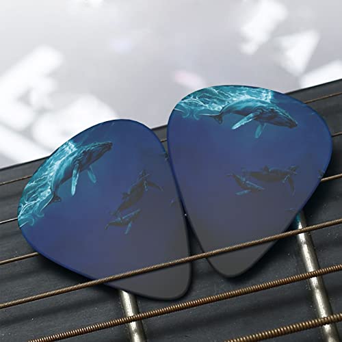 Pack de 12 médiators pour guitare Ocean Whale pour guitare électrique Guitare acoustique Diverses guitares - Les Beatles, Paul McCartney, John Lennon, RIngo Starr, George Harrison Pack de 12 médiators pour guitare Ocean Whale pour guitare électrique Guitare acoustique Diverses guitares – Image 7