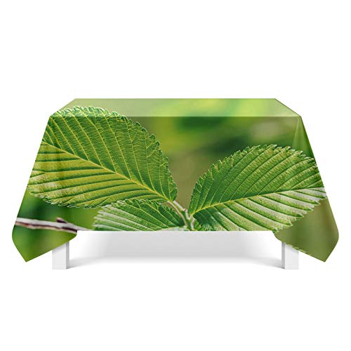 Aeici Mantel lavable hojas Camino de mesa poliéster Mantel para mesa de salón, Diseño 9, 85 x 85 cm
