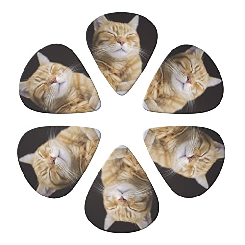 ASDTEHCY Lot de 6 médiators en celluloïd, couleur orange, pour guitares acoustiques, électriques, basses ou ukulélé - Les Beatles, Paul McCartney, John Lennon, RIngo Starr, George Harrison ASDTEHCY Lot de 6 médiators en celluloïd, couleur orange, pour guitares acoustiques, électriques, basses ou ukulélé – Image 3
